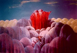 Exodus, by Nimon Lokaj