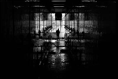 Beer factory, by Ferdi Limani