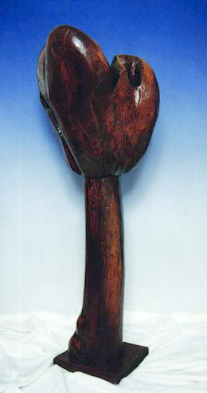 Flora, by Muamer Sadiku