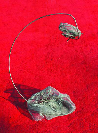 The Core, by Nebije Berisha