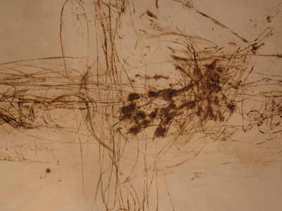 world getto, by Zake Prelvukaj