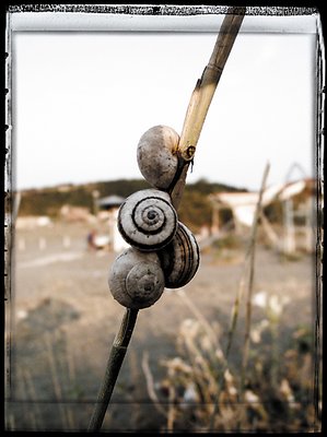 Image 111, by Fahredin Spahija