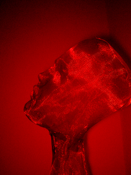 red portret, by Lubjana Dashi