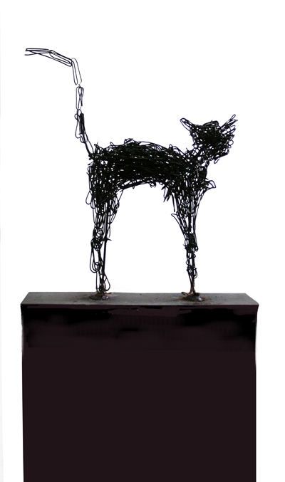 Cat, by Amir Ibrahimi