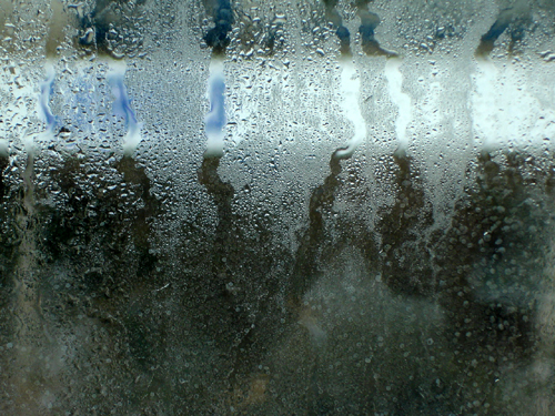 the window, by Burhan Ahmeti