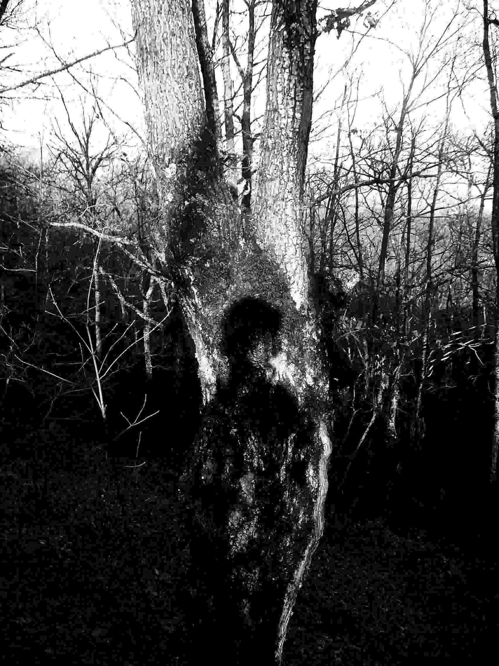 My Sh, by Lul�zim Sh. Makolli