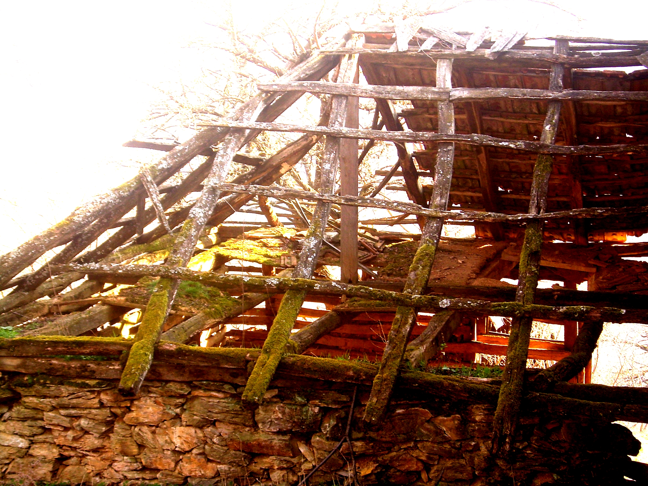 2007, by Lul�zim Sh. Makolli