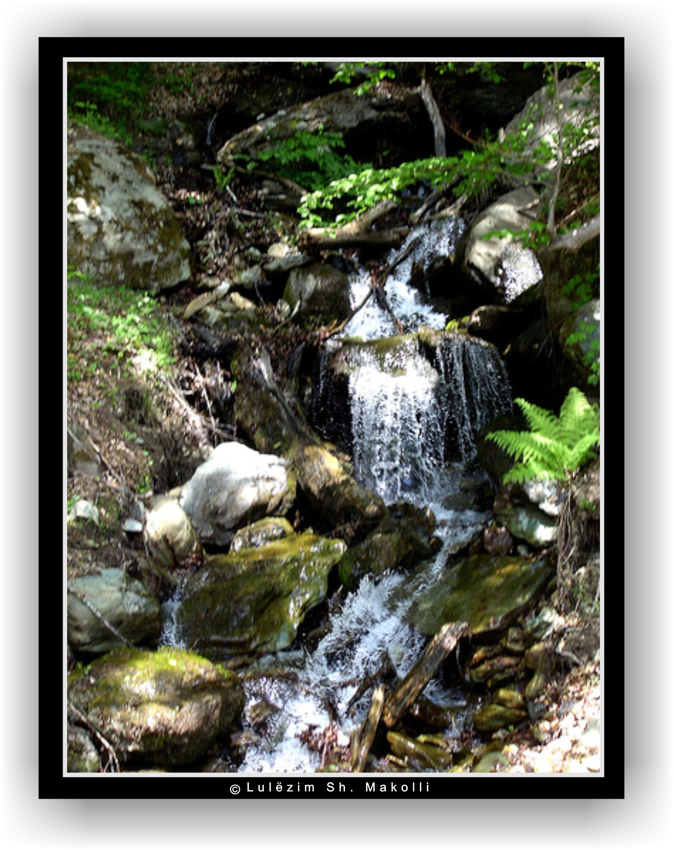 Magic Eye, by Lul�zim Sh. Makolli