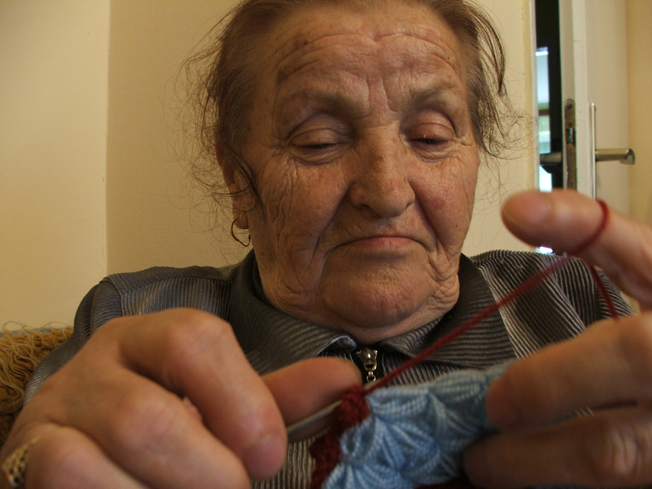 Angullitje, by Fatos Zogaj