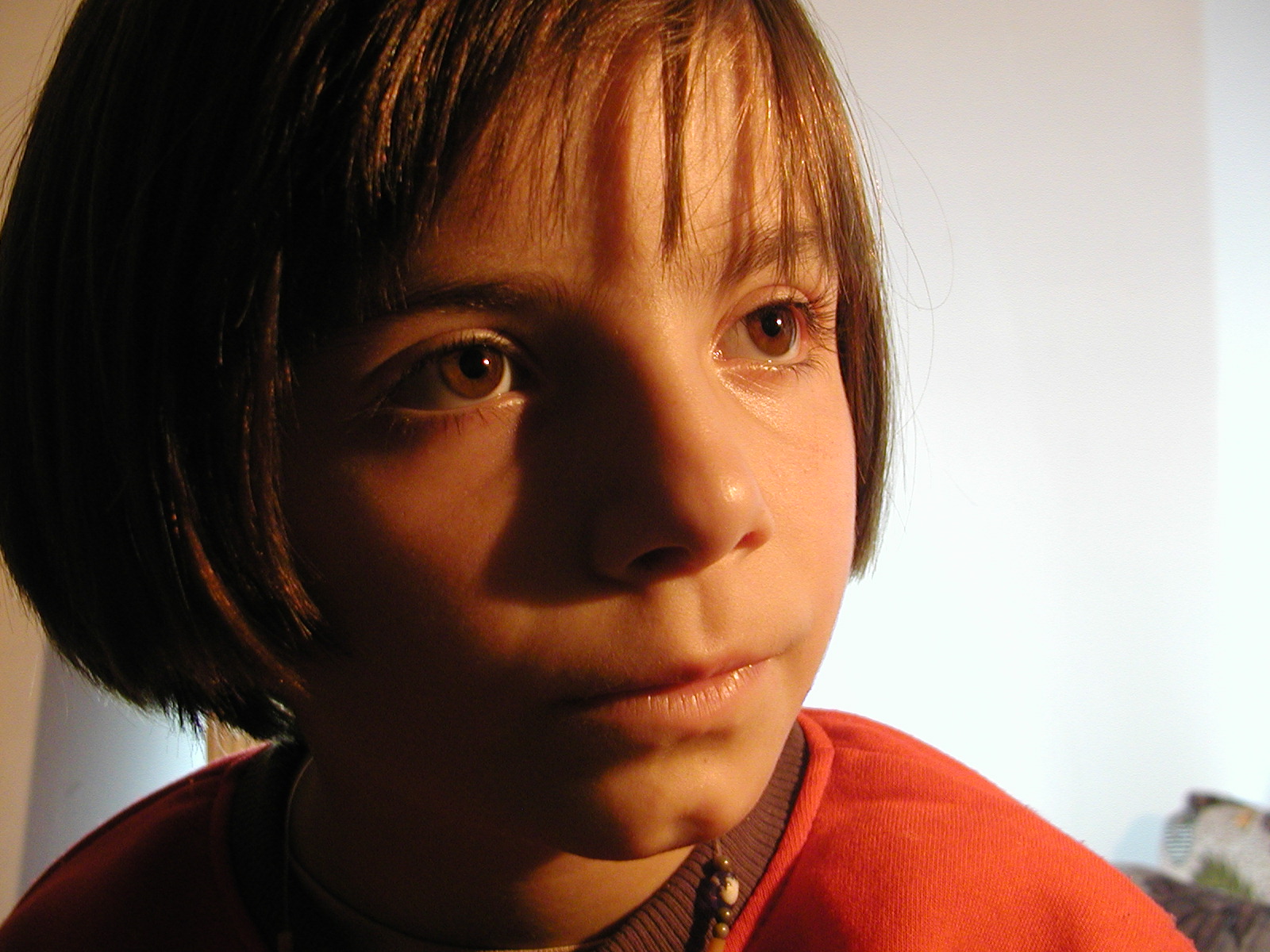 Portrait, by Fatos Zogaj