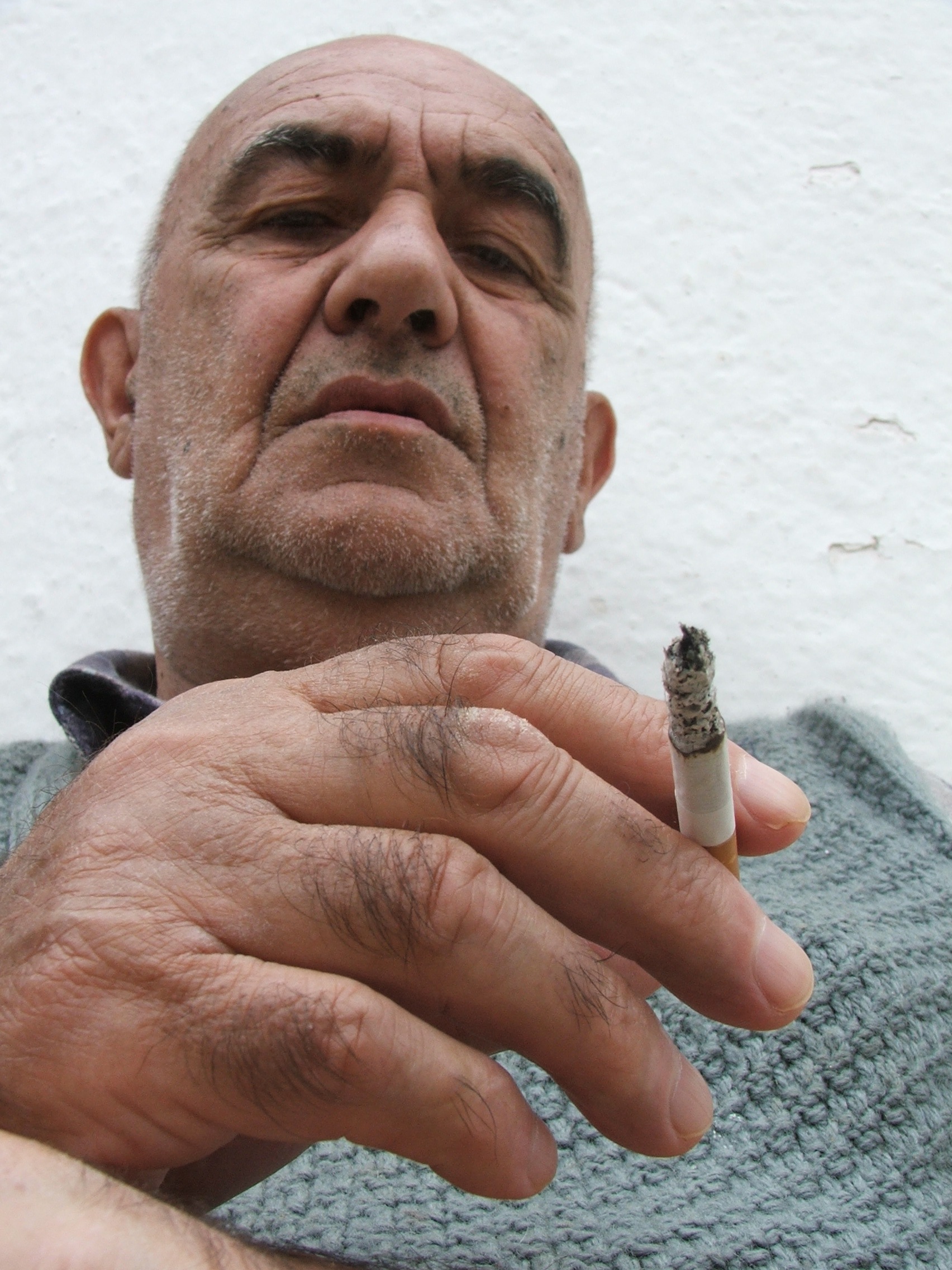 Portret, SYTE, by Fatos Zogaj