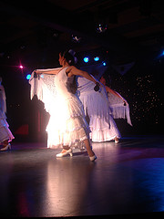 flamenco 1, by Burhan Ahmeti