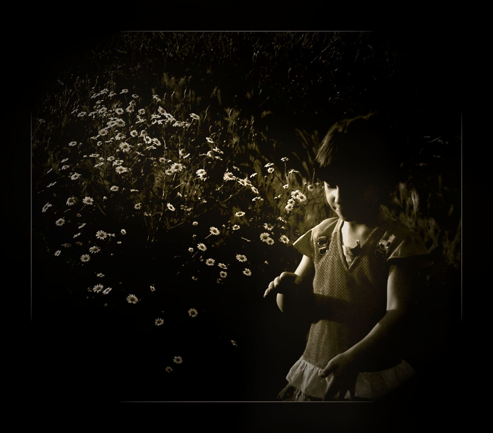 Shining, by Beni Beni