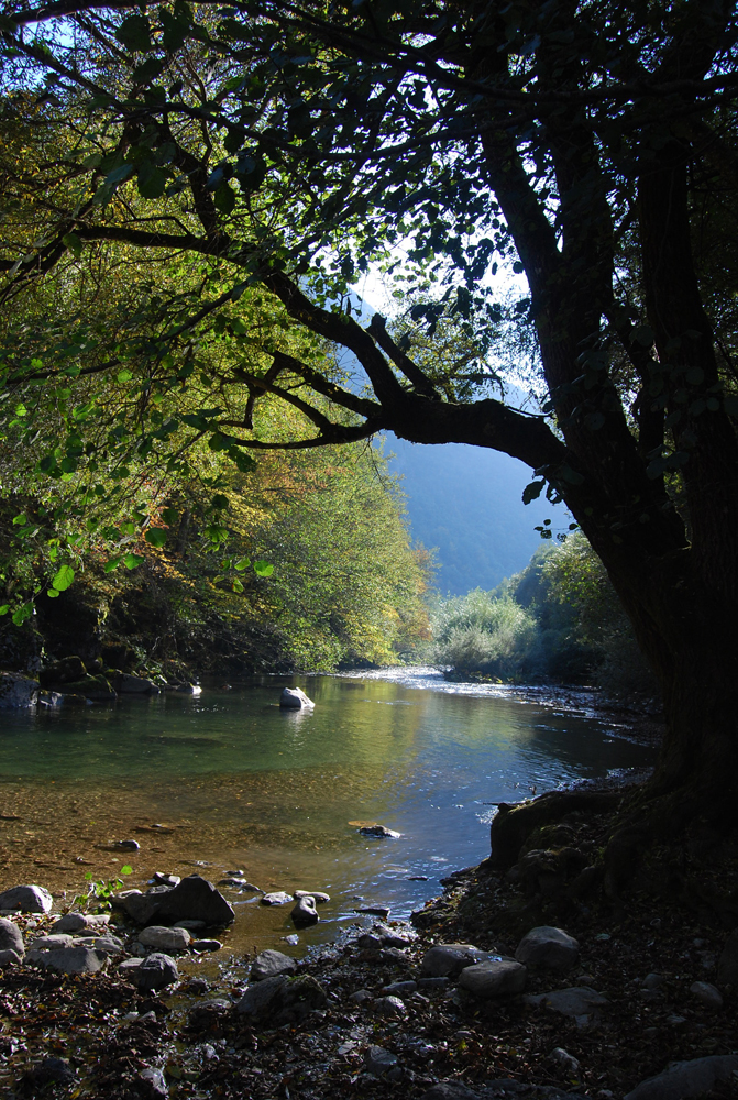 River Radika, by Burhan Ahmeti