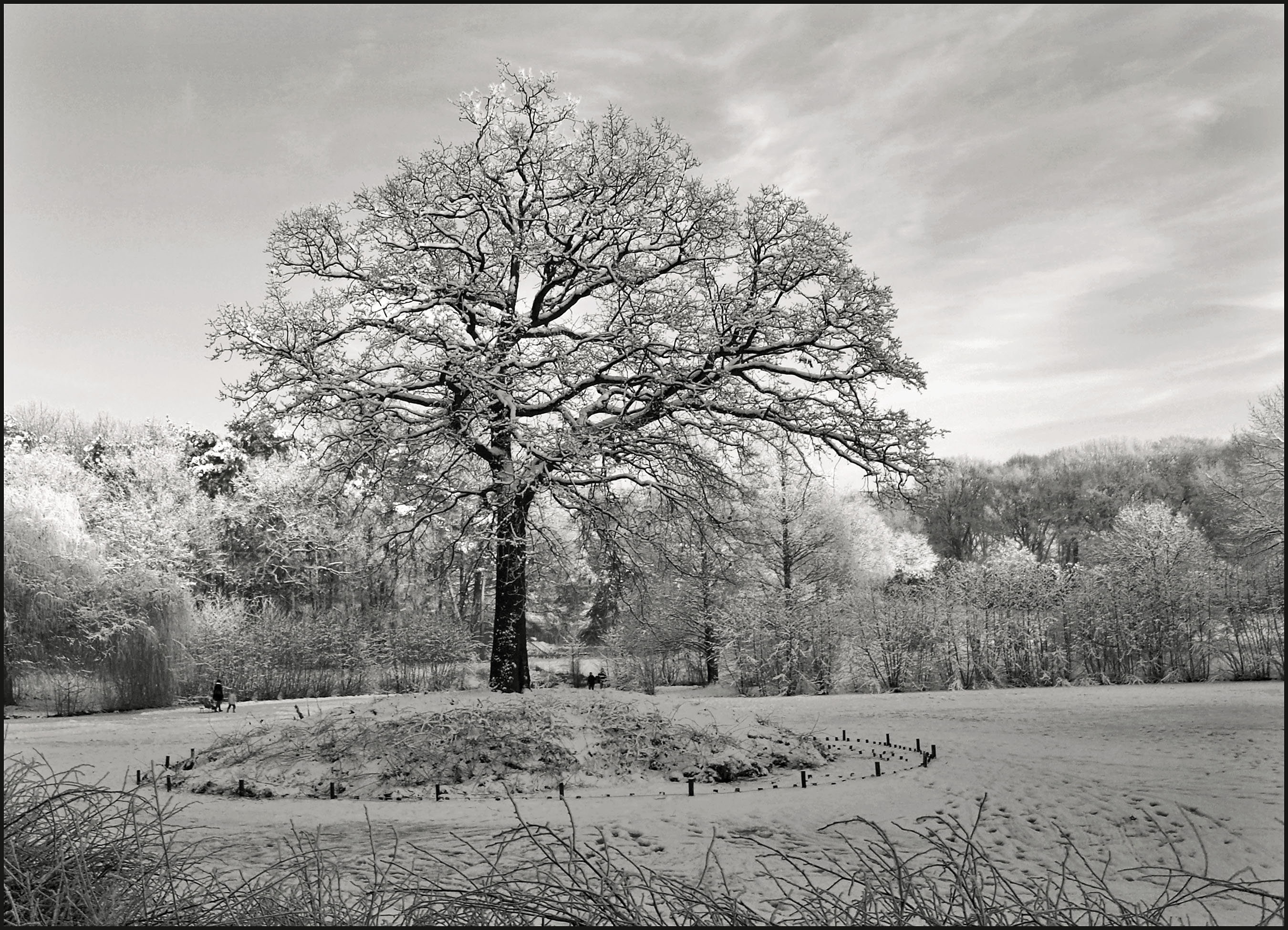 winter, by Dashmir Izairi