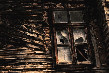 C'est la vie ! 11, by Afrim Spahiu