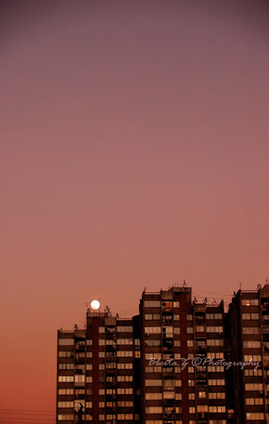You are my satellite!, by Blerta Zab�rgja