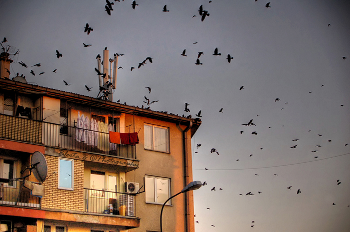 5PM, by Blerta Zab�rgja