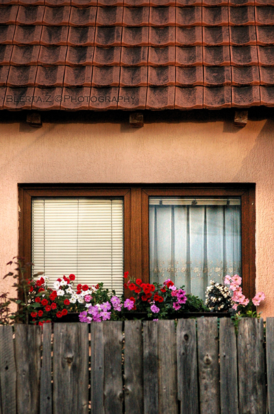 Next Door Memories, by Blerta Zab�rgja