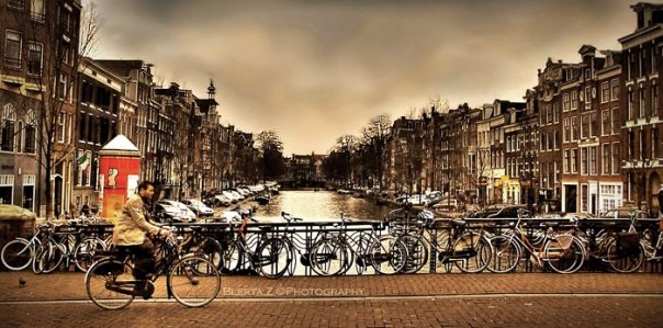 The Brown Town, by Blerta Zab�rgja