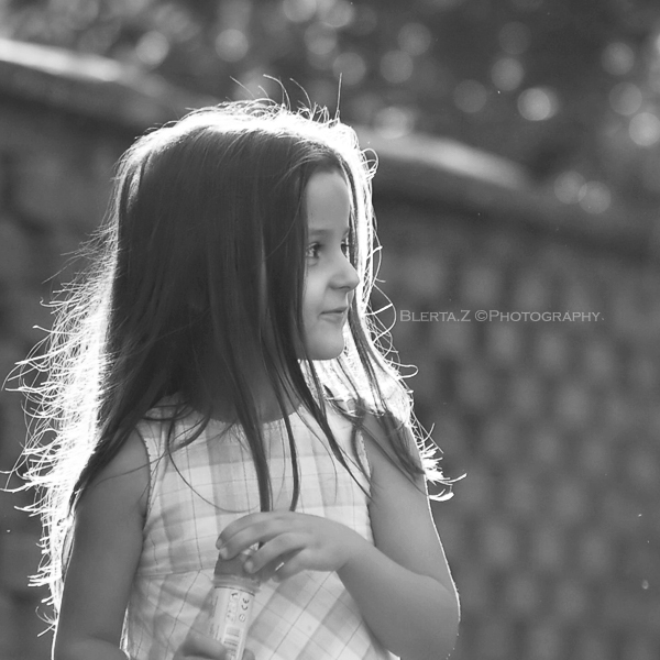 Absorbing the Light, by Blerta Zab�rgja
