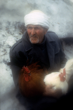 Old man with two cock, by Afrim Spahiu