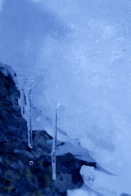 The blue dream and art 08, by Afrim Spahiu